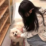 武装战机金币修改版下载